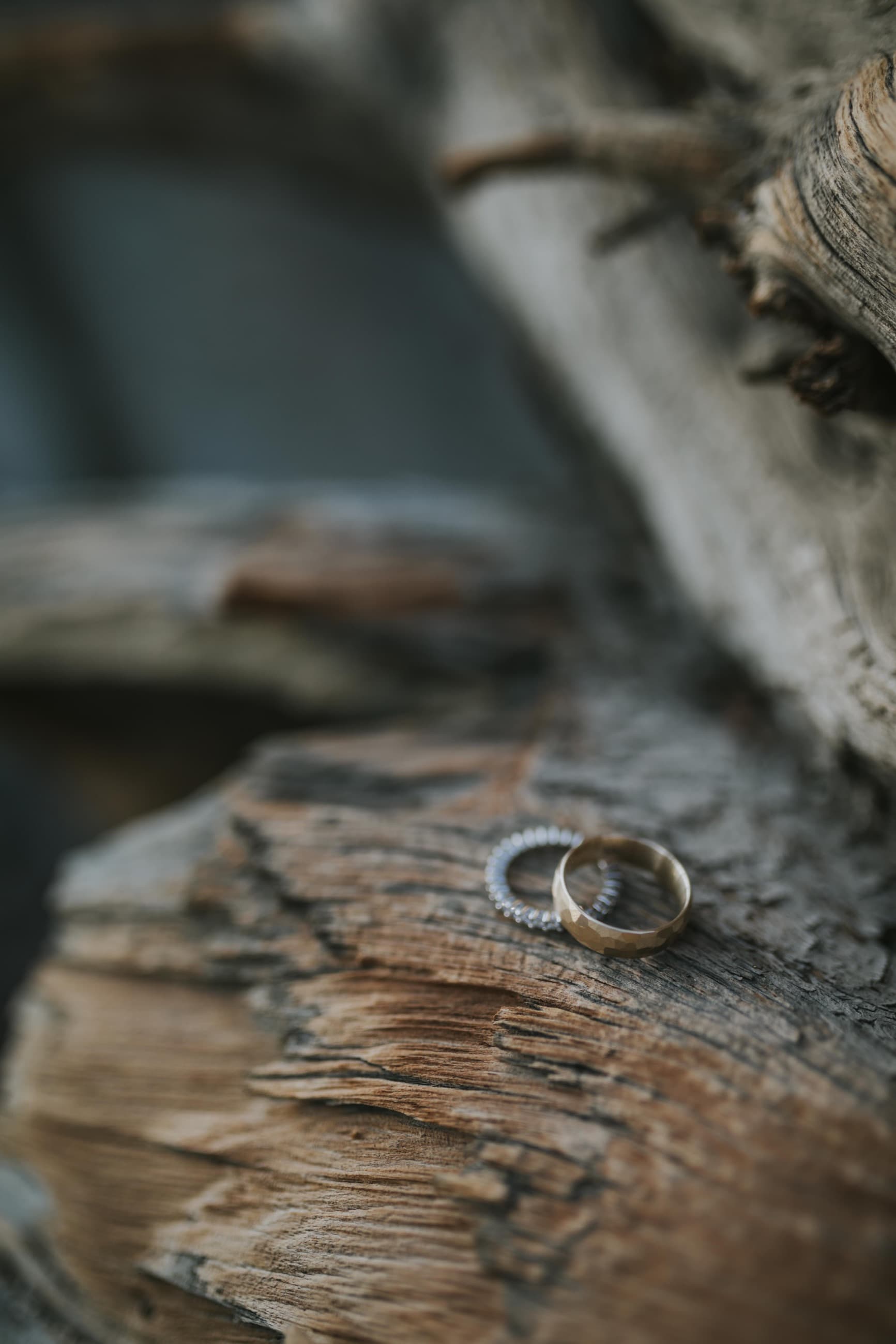 Big Bear Engagement 43