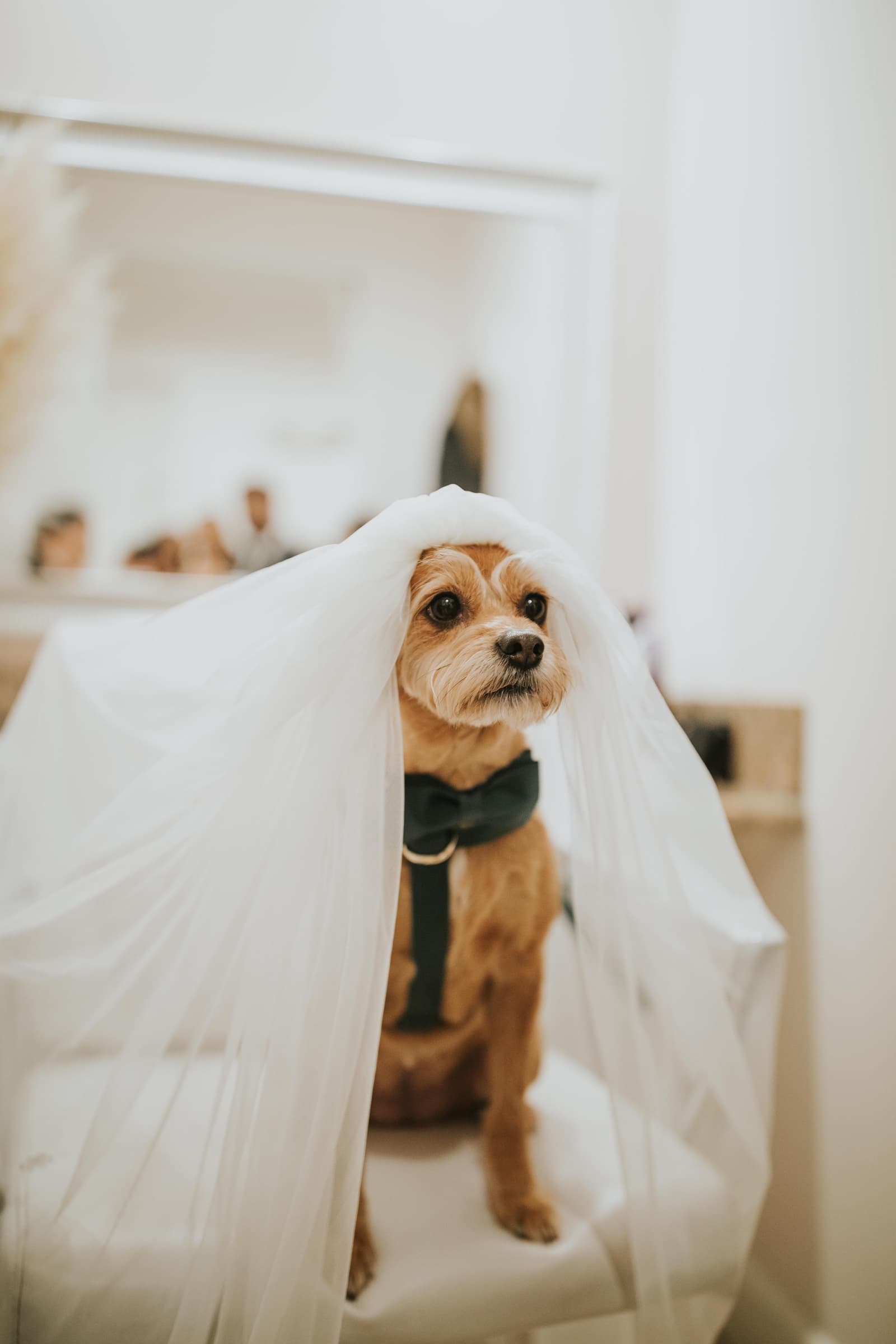 CruzHuismanWedding 513